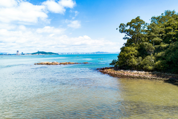 Florianópolis Bus y Hotel Marzo 2025